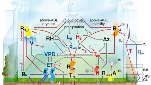 Land Atmosphere Interactions