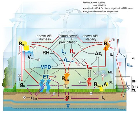 Land Atmosphere Interactions