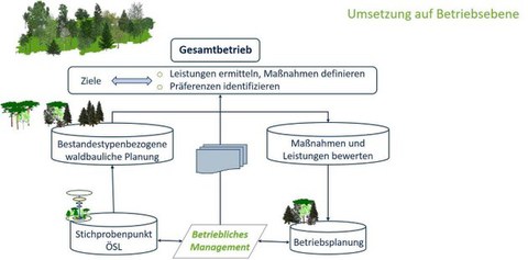 Managementkonzept für die Umsetzung einer ÖSL-orientierten Bewirtschaftung