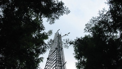 Forschungsstation Oberbärenburg