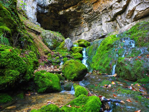 Karstquelle Fluss