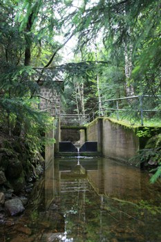 Wehr am Wernersbach im Tharandter Wald