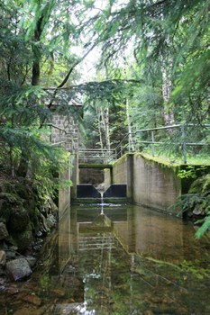 Wernersbach gauge in the Tharandt Forest