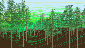 Wald_Modellierung