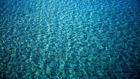 Das Foto zeigt eine Fläche mit Wasser, die von der Sonne angestrahlt wird.