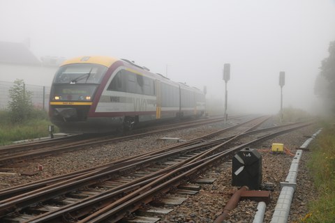 Altenberg Nebel