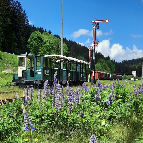 Wernesgruener Schienenexprss in Schoenheide Sued