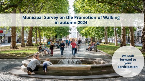 Municipal Survey on the Promotion of Walking 