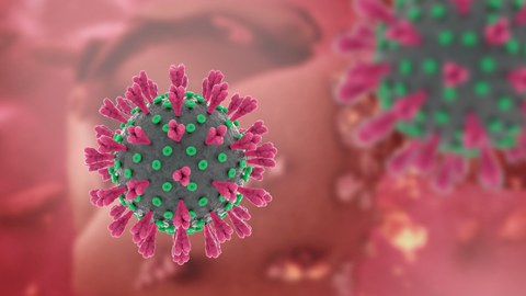 Das Bild zeigt die Darstellung des Corona-Virus. Der Hintergrund ist in einem hellen Rotton gehalten.