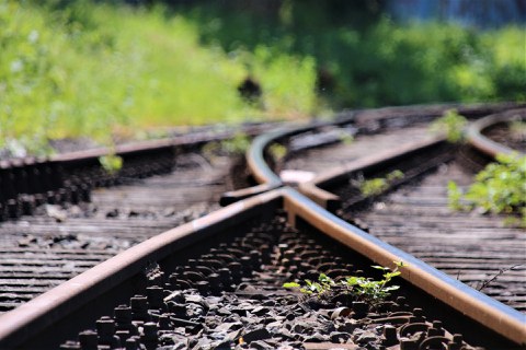 Zwei Schienenstränge treffen aufeinander und werden mit einer Weiche verbunden. Rundherum an der Strecke ist Buschwerk.