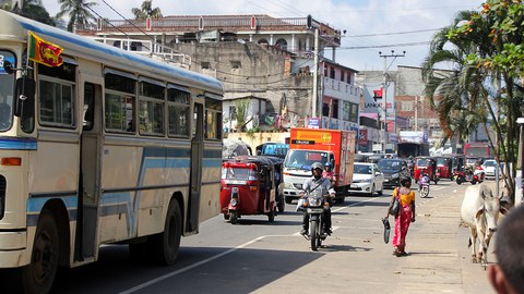 Eine unübersichtliche Straßensituation in Sri lanka mit Bus, Autos, Tuk Tuks, Fußgängerin und Kuh.