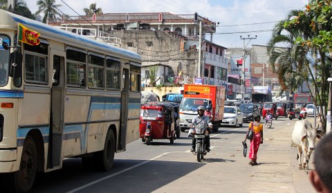 Eine unübersichtliche Straßensituation in Sri lanka mit Bus, Autos, Tuk Tuks, Fußgängerin und Kuh.