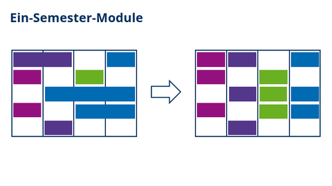 1 Ein-Semester-Module.png