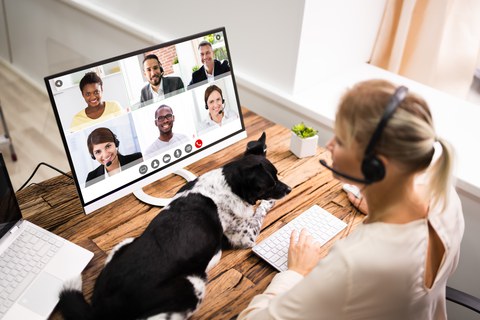 digitales Lernen