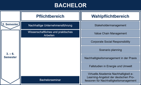 bachelor_grafik_2020