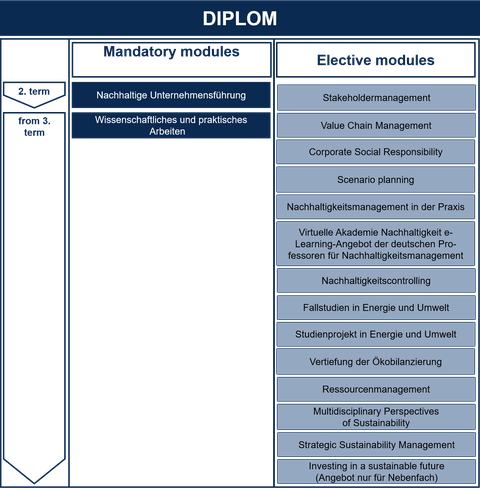 diplom_grafik_2020
