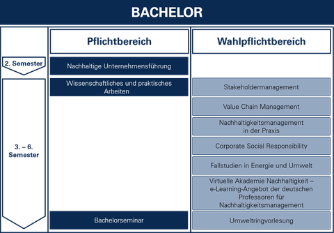 Bachelor-Ablaufplan LK-2015