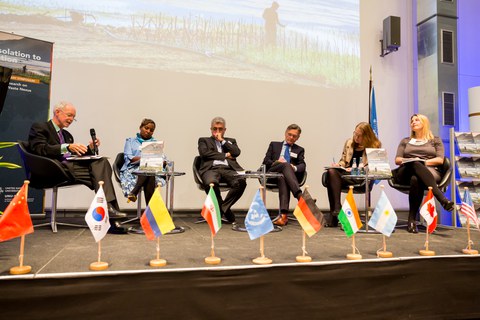 PANEL