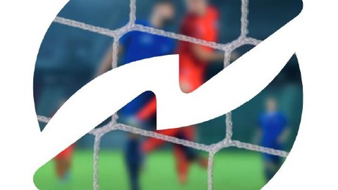 Nachhaltigkeitsmanagement im Profifußball