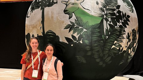 WBF in Davos