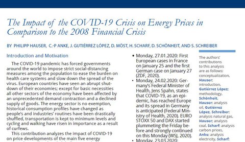IAEE COVID-19 Paper