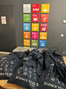 Goodie Bags