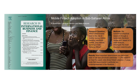 Mobile fintech adoption in Sub-Saharan Africa: A systematic literature review and meta-analysis