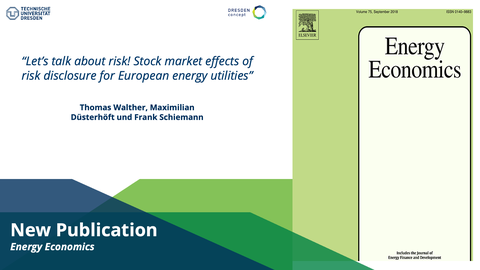 Publikation Energy Economics