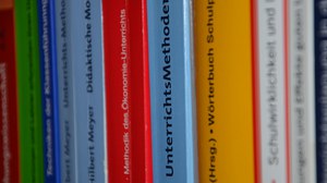 Foto von elf Buchrücken mit wirtschaftspädagogischem Bezug.