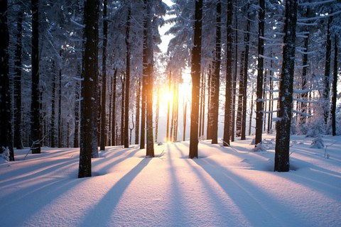 Das Foto zeigt einen Sonnenuntergang im verschneiten Winter im Wald.