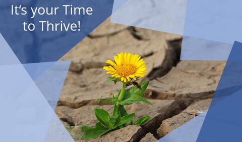 Ein Foto einer Blume, die zwischen vertrockneten Bodenkrustenteilen erblüht. Dazu der Text "It's your Time to Thrive!".