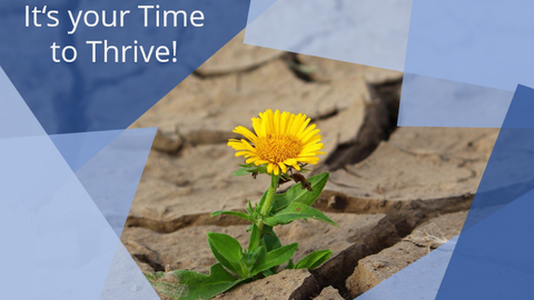 Ein Foto einer Blume, die zwischen vertrockneten Bodenkrustenteilen erblüht. Dazu der Text "It's your Time to Thrive!".