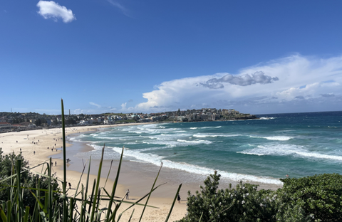 Zu sehen ist ein Strand in Sydney