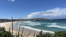 Zu sehen ist ein Strand in Sydney
