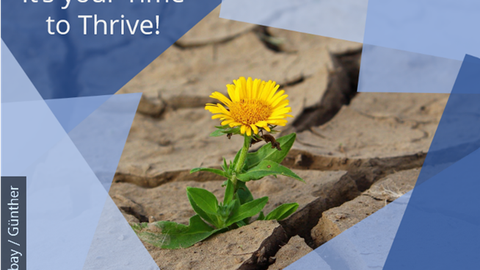 Auf dem Bild ist eine Blume zu sehen, die auf vertrocknetem, rissigen Boden wächst. Außerdem ist das Bild mit "It's your Time to Thrive" beschrieben.