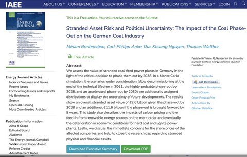 Paper Stranded Asset Risk