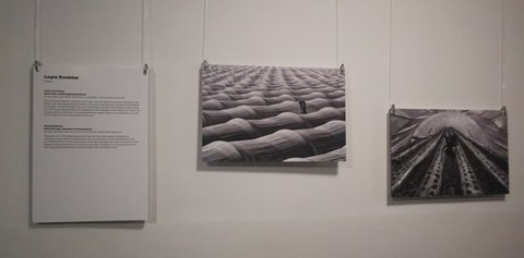 Ausstellung Sustainability Stories