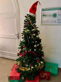 Einen Tannenbaum des FSR
