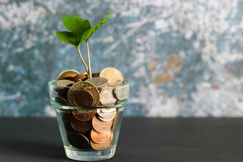 You can see money and a small plant 