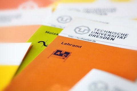 Das Foto zeigt die Nahaufnahme mehrerer Informationsflyer. Der Flyer zum Studiengang "Lehramt" steht dabei im Fokus.