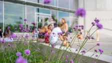 Blume vor dem HSZ