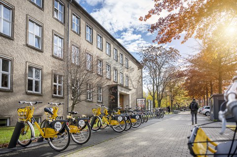 Viele Fahrräder vor dem Potthof-Bau.