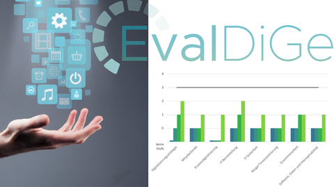 4. Zwischenbericht EvalDiGe
