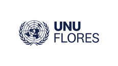 Logo der UNU Flores