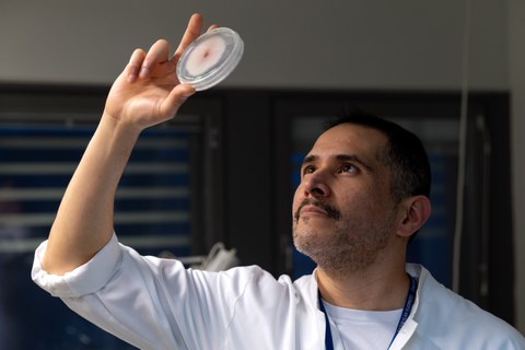 Das Bild zeigt Dr. Carlos Aguilar-Trigueros in einem Laborkittel. Er hält eine Petrischale mit einem Pilz nach oben und schaut sich diese genauer an.