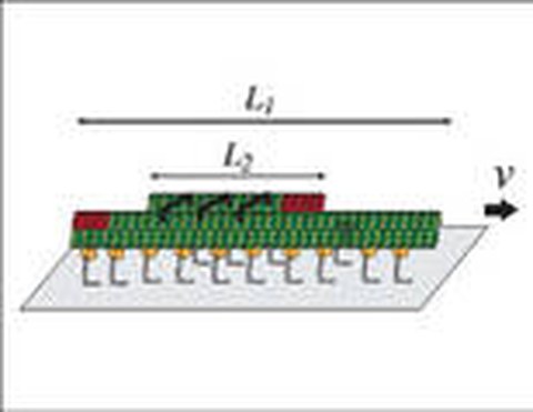 Bidirectional Transport
