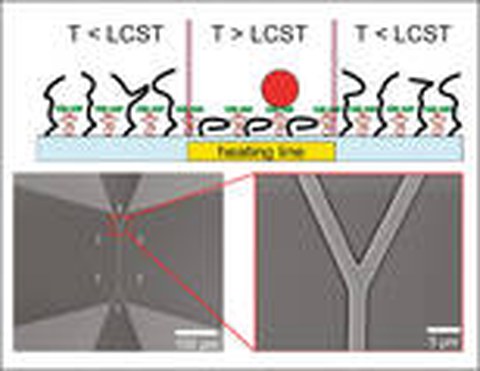 Temperature Controlled Motility