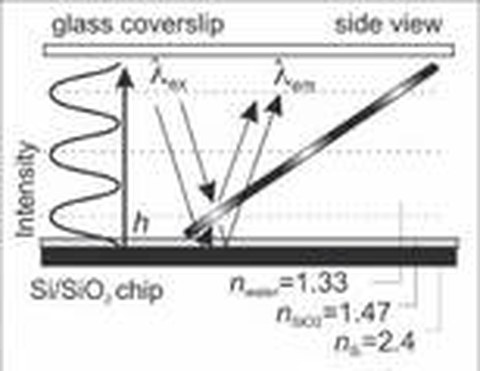 FLIC Microscopy