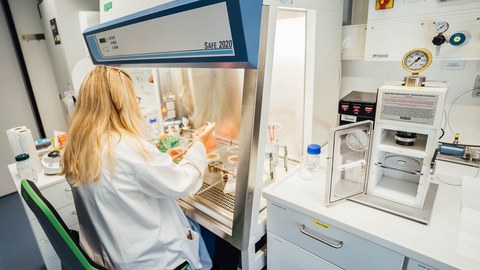 Eine Frau im Laborkittel, die an einer Cleanbench arbeitet.