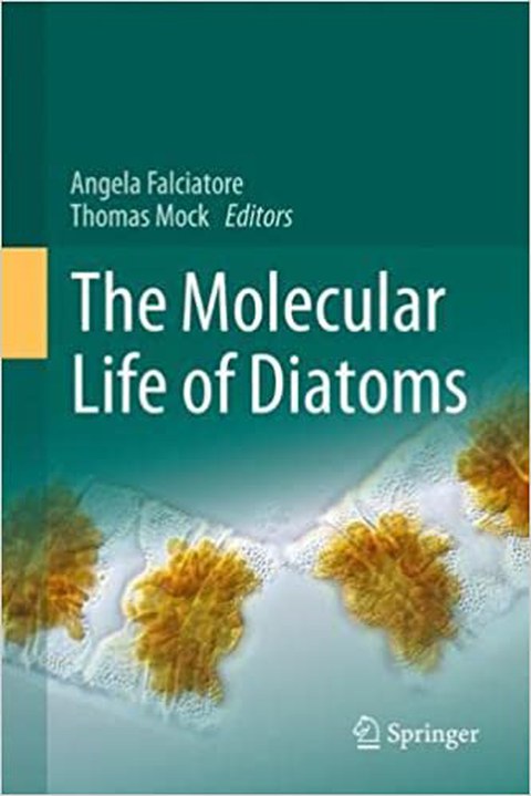 The Molecular Life of Diatoms